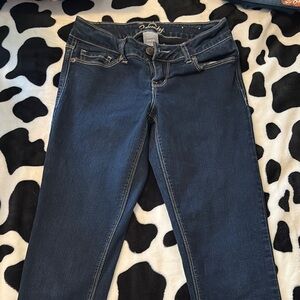 Vanity Women's Deep Blue Skinny Jeans